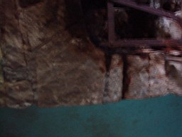 carrowcrory-1260.jpg