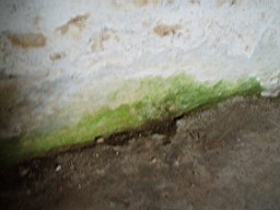 carrowcrory-1267.jpg