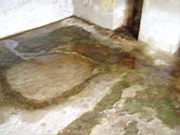 carrowcrory-1269.jpg