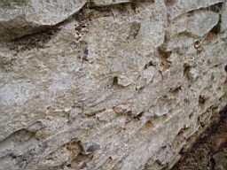 carrowcrory-1610.jpg