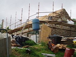 carrowcrory-2192.jpg