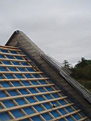 carrowcrory-2358.jpg