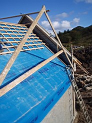 carrowcrory-2384.jpg