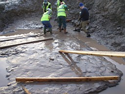 carrowcrory-2455.jpg
