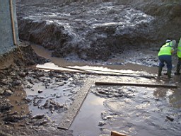 carrowcrory-2458.jpg