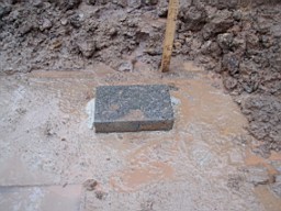carrowcrory-2461.jpg