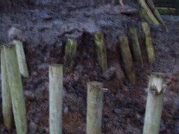carrowcrory-2532.jpg