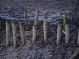 carrowcrory-2534.jpg