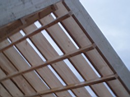 carrowcrory-2567.jpg