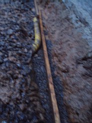 carrowcrory-2712.JPG