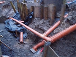 carrowcrory-2718.JPG