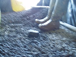 carrowcrory-2746.JPG