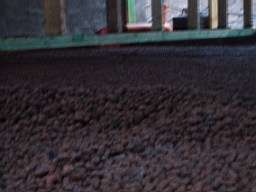 carrowcrory-2784.JPG