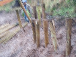carrowcrory-2824.JPG