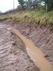 carrowcrory-2832.JPG