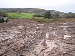carrowcrory-2833.JPG
