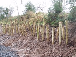 carrowcrory-2871.JPG