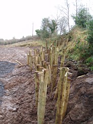 carrowcrory-2872.JPG