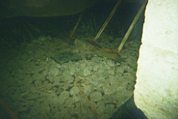 carrowcrory-3105.JPG