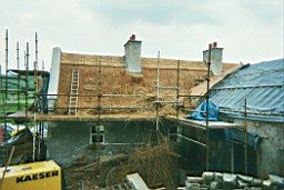 carrowcrory-3409.JPG