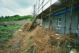 carrowcrory-3412.JPG