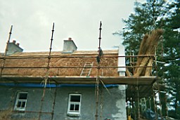 carrowcrory-3413.JPG