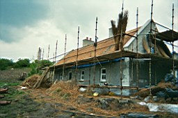 carrowcrory-3414.JPG