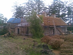 carrowcrory-3631.jpg