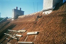 carrowcrory-3903.JPG