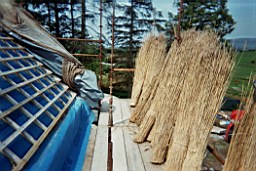 carrowcrory-4000.JPG