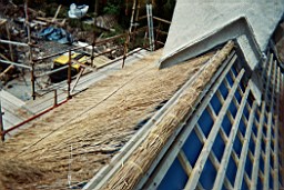 carrowcrory-4002.JPG