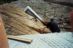 carrowcrory-4003.JPG
