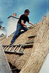 carrowcrory-4004.JPG