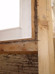 carrowcrory-4103.JPG