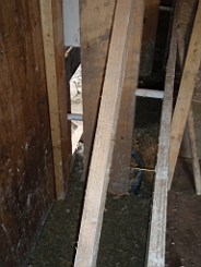carrowcrory-4305.JPG