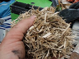 carrowcrory-4432.jpg