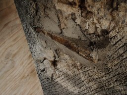 carrowcrory-4910.JPG