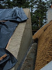 carrowcrory-4978.JPG