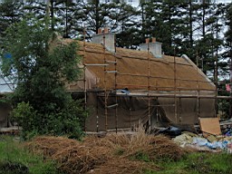 carrowcrory-5298.JPG