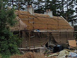 carrowcrory-5300.JPG