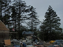 carrowcrory-5302.JPG