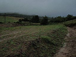 carrowcrory-5472.jpg