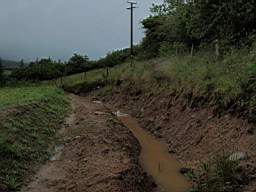 carrowcrory-5475.jpg