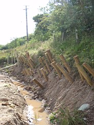 carrowcrory-5517.jpg
