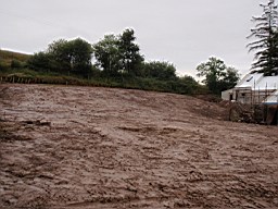 carrowcrory-5673.jpg