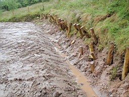 carrowcrory-5682.jpg