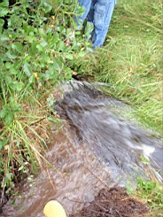 carrowcrory-5706.jpg