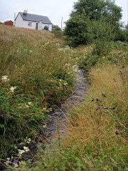 carrowcrory-5709.jpg