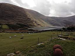 coom_10000130.jpg