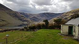 coom_10000260.jpg